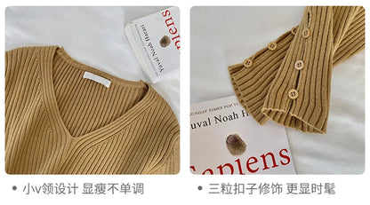 Autumn Winter Women Sweaters Long Sleeve Knitted V Neck Button Pullover Sweater Femme Basic Solid Jersey Tops Fashion Clothes